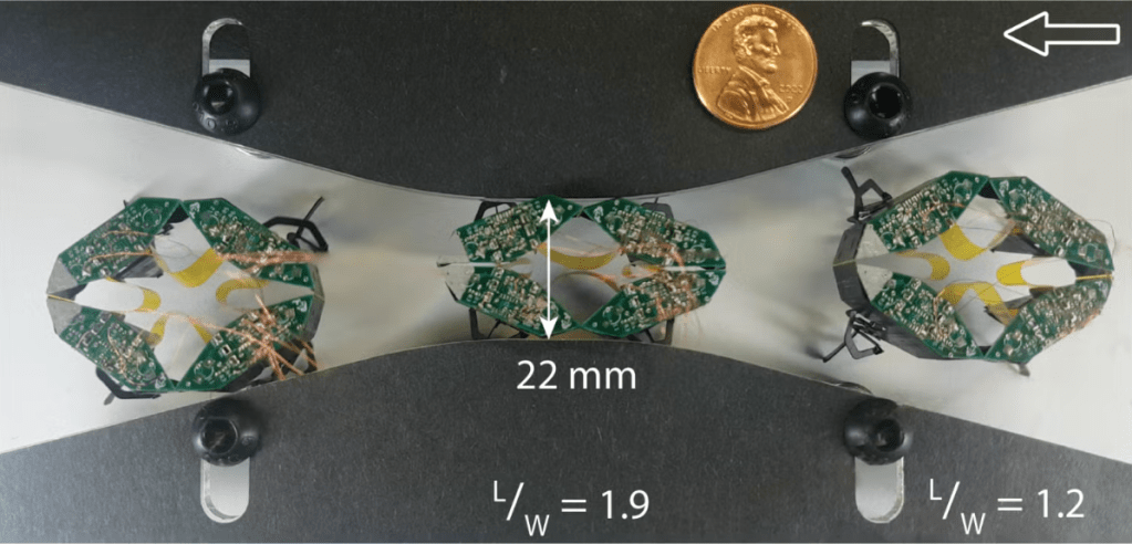 CLARI Mechanics, 22mm with a penny for size comparison