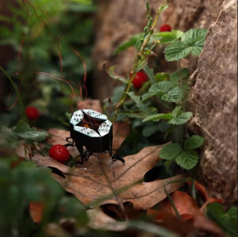 CLARI on a Berry branch and fallen leaf by a rock