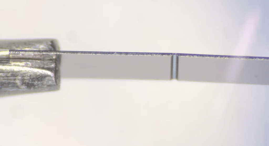 Zoomed In Wing from the side